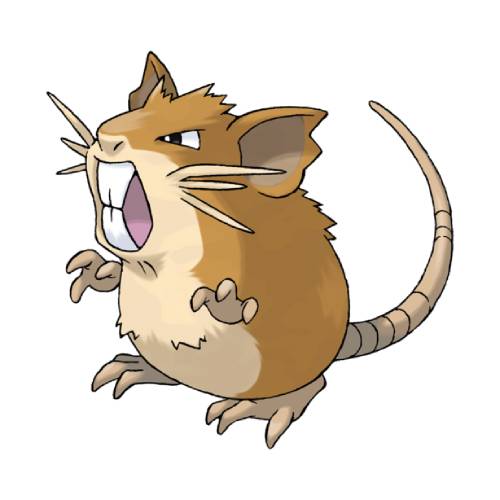 Raticate