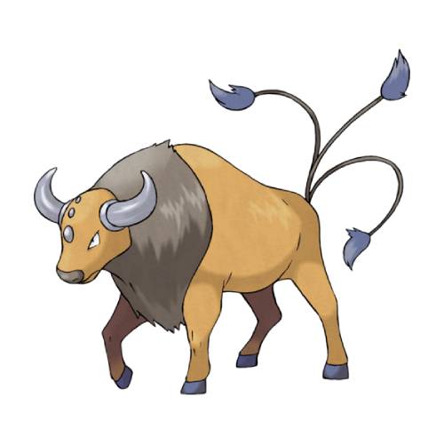 Tauros coloring page