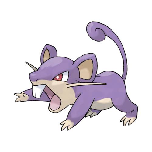 Rattata